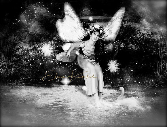 Fairy