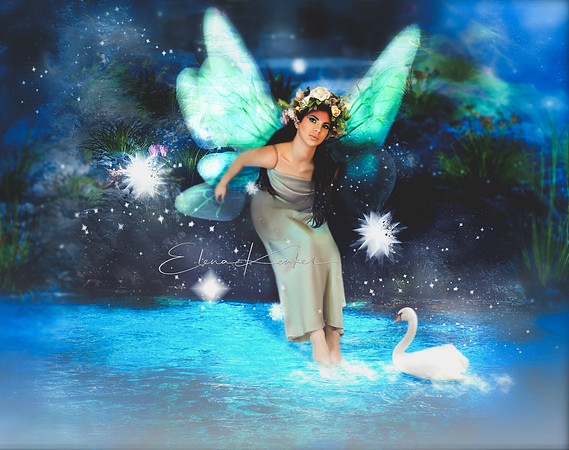 Fairy