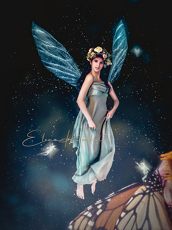 Fairy