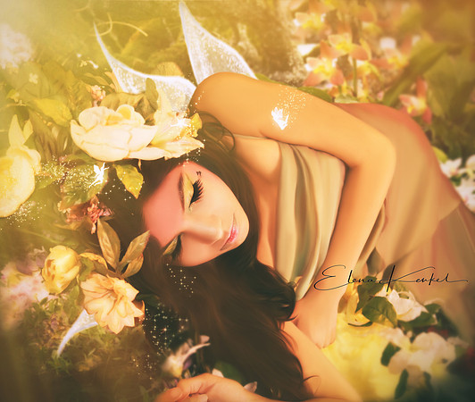 Fairy