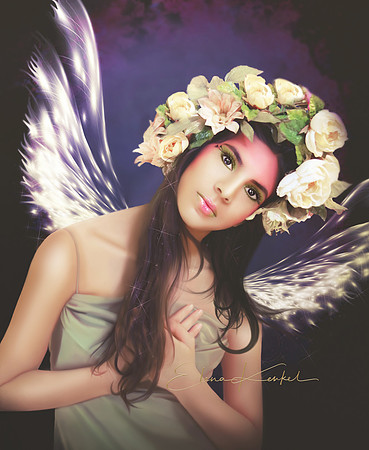 Fairy NORTH WILLOWGLOW