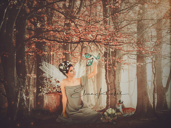 Fairy