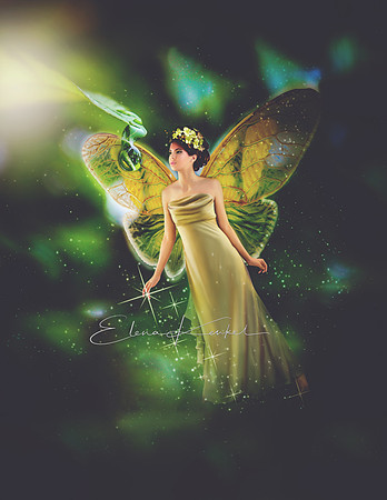 Fairy