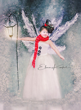 Winter Fairy