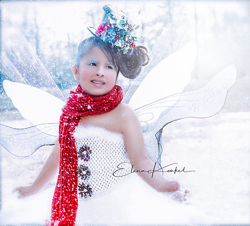 Fairy - SNOW WILLOWGLIMMER