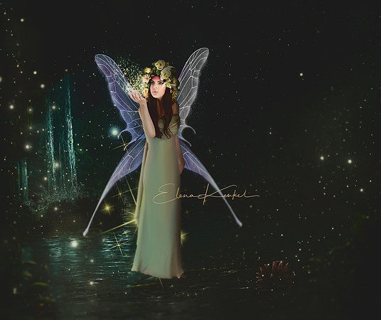 Fairy