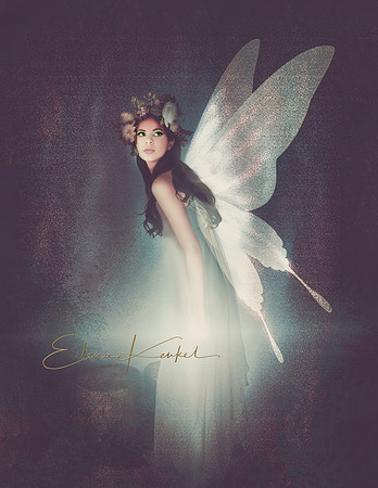 Fairy
