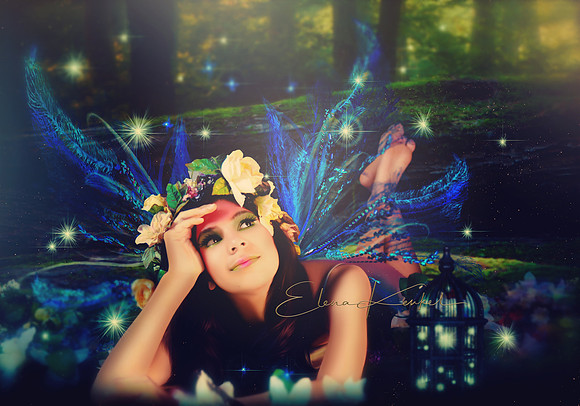 Fairy