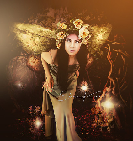 Fairy